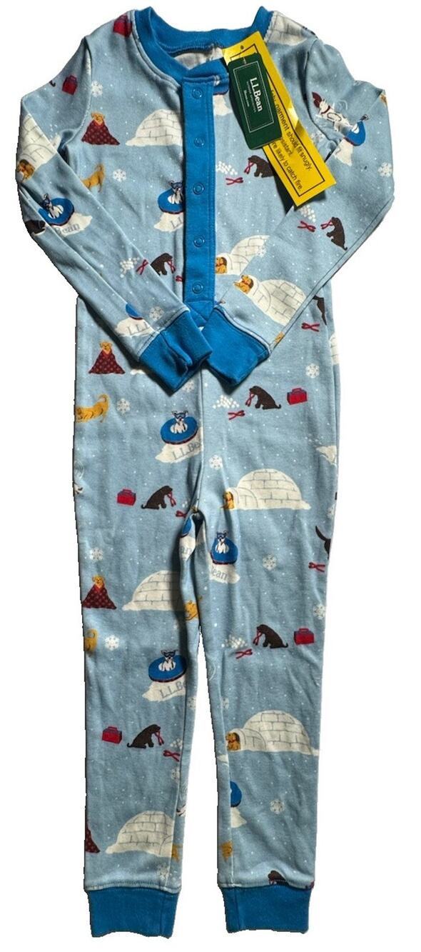 L.L.Bean Kids 4T Organic Cotton Fitted Pajamas Winter Igloo Dogs NWT